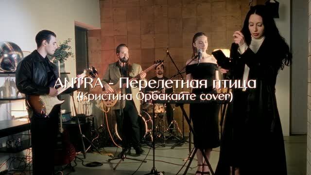 Видео кавер-группы «ANTRA» #2